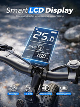 26" Electric Fat Tyre Mountain Bike 250W 48V 13Ah 7-Speed LCD Display